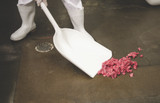 Essential Guide to Selecting Color-Coded Food-Grade Shovels