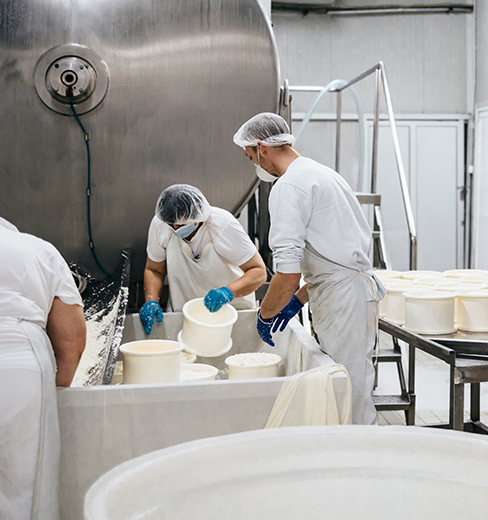 Category: Material Handling