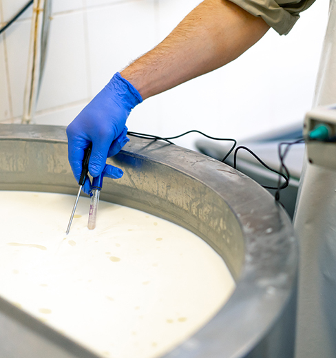 Category: Thermometers