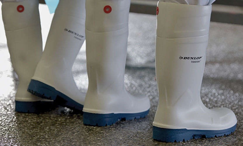 Shop Dunlop Protective Footwear