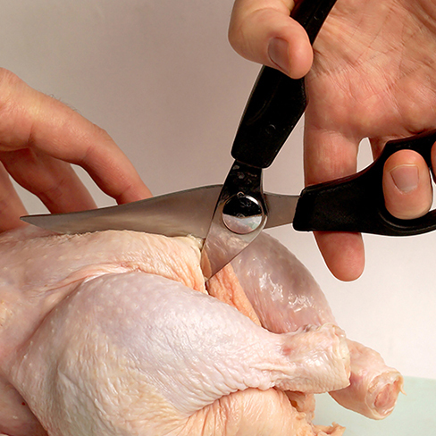 Category: Poultry