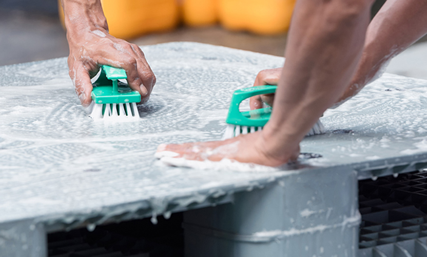 Benefits of Plastic Pallets for Food Applications