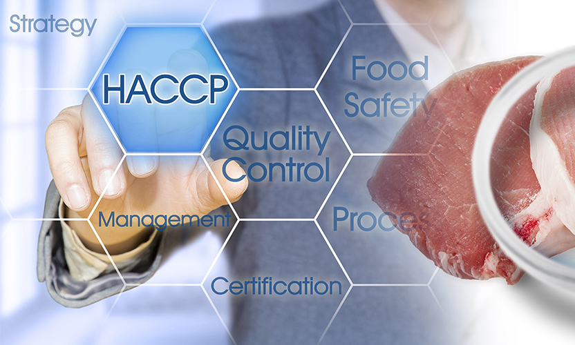 HACCP Guidelines for Processing Facilities