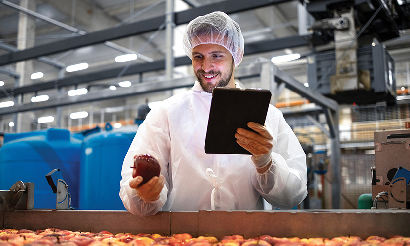 Why Hairnets are Critical for Keeping Processing Areas Sanitary