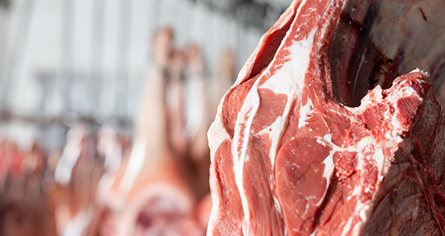 Hanging Meat