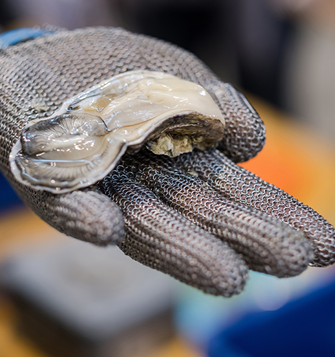 Category: Cut Gloves