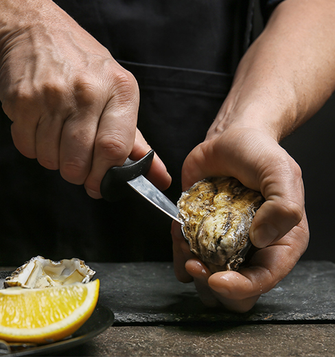 Category: Seafood Knives