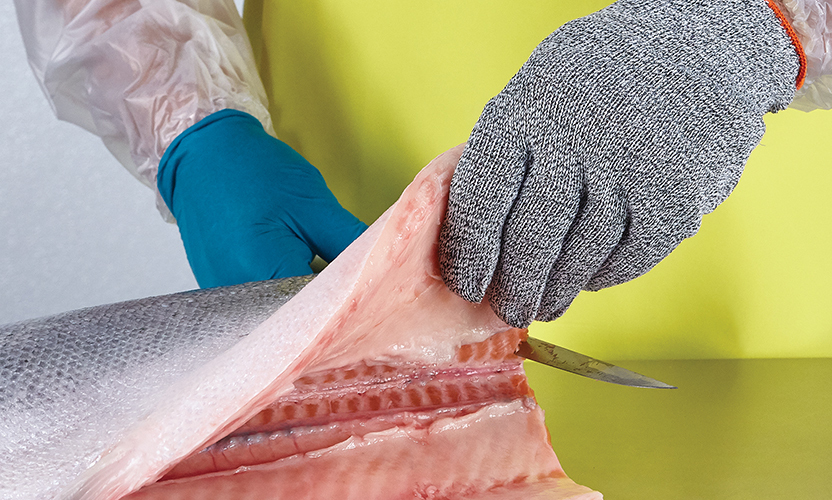 6 BPD Products for Seafood Processors
