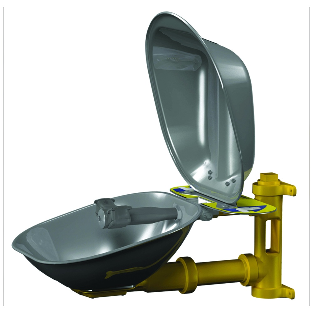 Bradley Halo Eye and Face Wash Station with Plastic Bowl, Wall-Mount