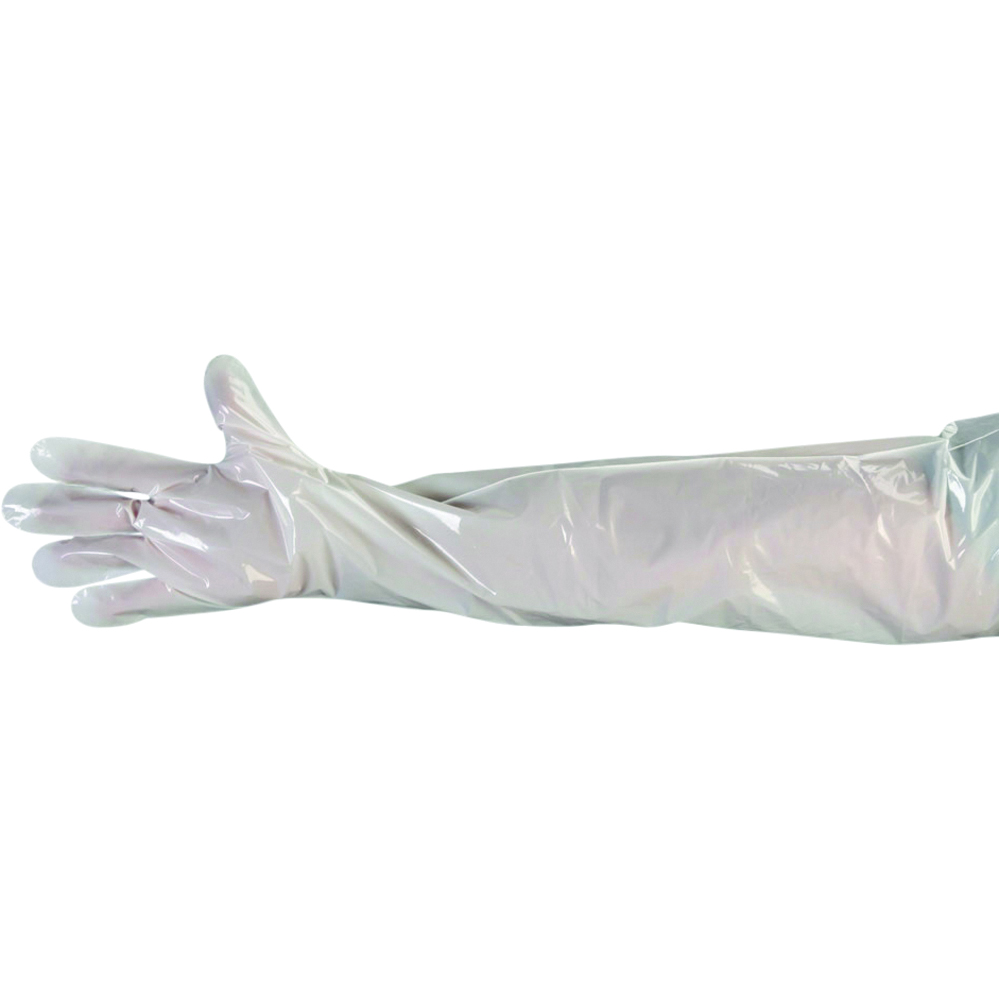 Work Force, Inc. Shoulder Length Polyethylene Gloves