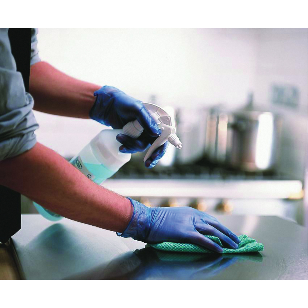 WorkHorse 500 Series Disposable Vinyl Gloves, Powdered