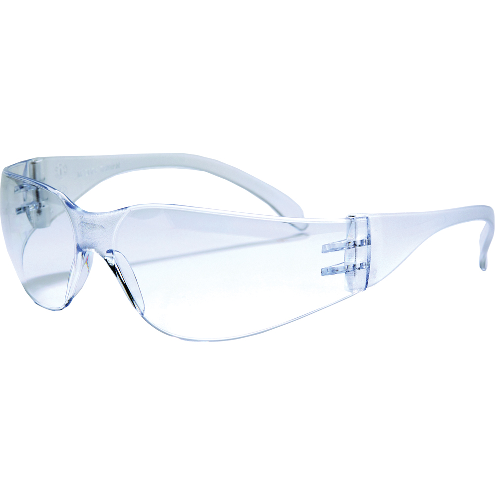 WorkHorse Safety Glasses, Standard Anti-Fog