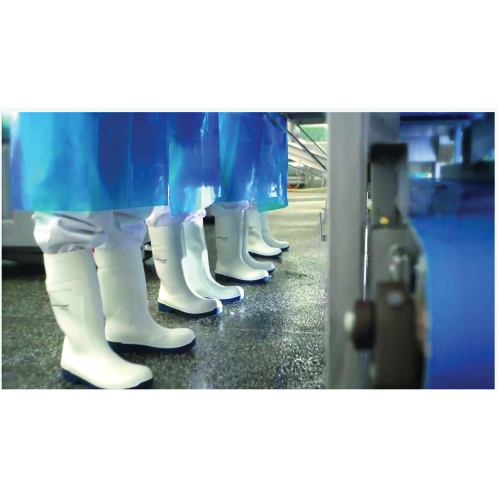 Dunlop FoodPRO Purofort MultiGrip Safety Steel Toe Boots