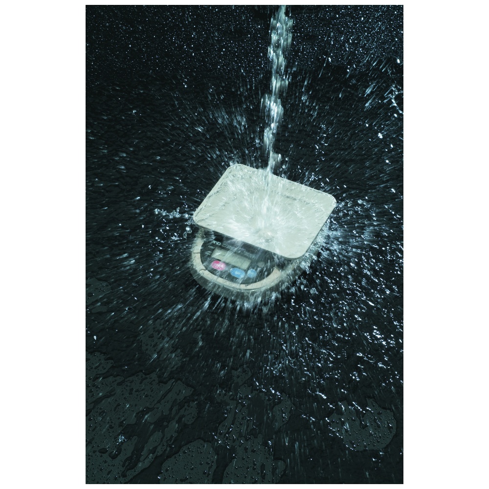 A&D Weighing HL-3000LWPN Compact Washdown Scale, Large Pan, NSF Listed, NTEP Certified, Legal for Trade