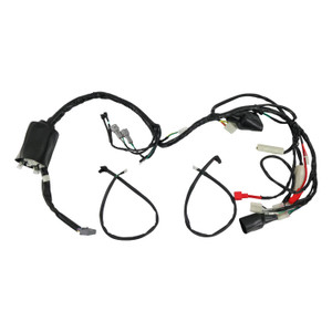 Arnes Electrico Italika Dm 300 (25) 12V