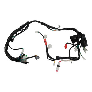 Arnes Electrico Italika Ft 250 Ts (21-23)