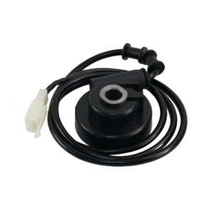 Unidad Cuenta Kilometros Italika Dm 250X (22-24)