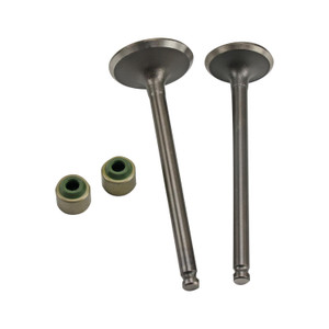 Valvulas Admision Y Escape Set Yh Ray Zr (14-22)