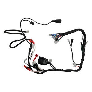 Arnes Electrico Italika 250Z (22-24) (6 Cambios) 12 V