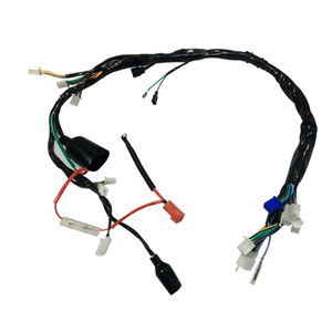 Arnes Electrico Italika 125 Z (16-19) 12V