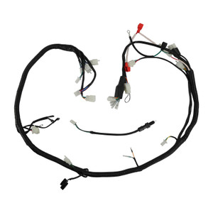 Arnes Electrico It Rt 200 Gp (17-19)/ Rt 200 (20-24) 12V