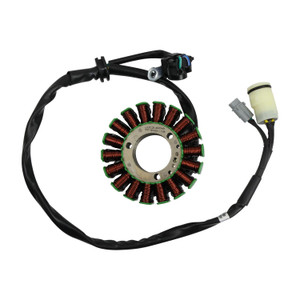 Inducido 18 Bobinas Italika Vort-X 300 (17-24)