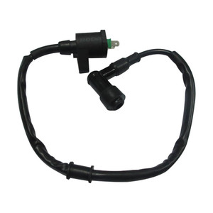 Bobina Enc Ext Italika 250 Z (14-17) 12V