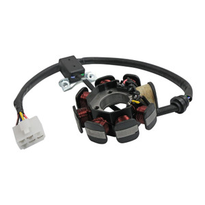 Inducido 8 Bobinas Italika Dm 250 (20-22) (Wstd) 3-24A