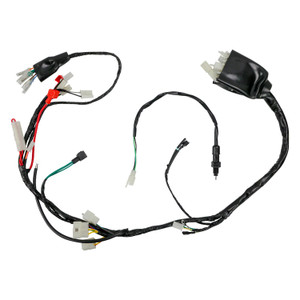 Arnes Electrico It Dm 250 (20-21)