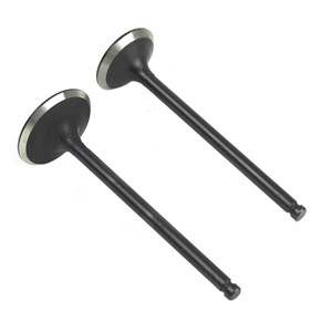 Valvula Adm/Esc Set Italika Ft 250 (15-16)