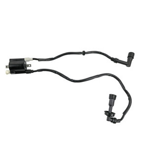 Bobina Enc Doble Bajaj Pulsar Ns 200 (12-23) (Wstd) 12V