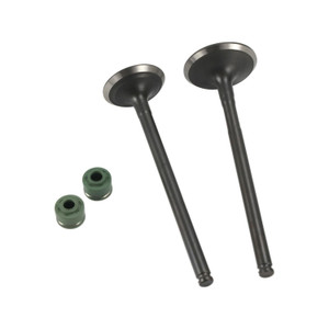 Valvula Admision/Escape Set It V 200 (18-22)