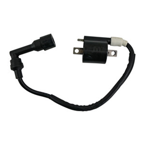 Bobina Enc Set Bajaj Pulsar Ns 200 (12-23) (Wstd) 12V