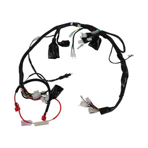 Arnes Electrico Vl Razzer 200 (21-23)