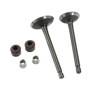 Valvula Adm/Esc Set Yamaha Ybr 125 C Express (15-19) (Wstd)