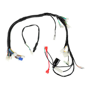 Arnes Electrico It Ft 150 Ts (19-22) 12V