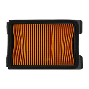 Filtro Aire (Elemento) It Rt 250 (16-20)
