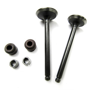 Valvula Adm/Esc C/Sellos/Candados Set Italika At 110 (05-16)