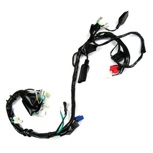 Arnes Electrico Hn Xr 150L (16-19) 12V