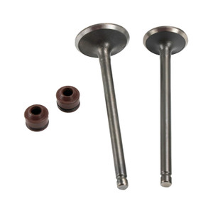 Valvula Adm/Esc Set Honda Dio 110 (13-19) Navi 110 (19-23)