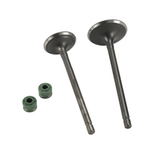 Valvula Admision/Escape Set It Dm 250 (20-22)