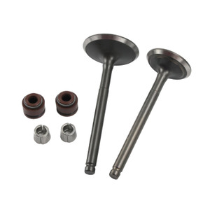 Valvula Adm/Esc Set Italika Ds 150 (06-18) (Wstd)