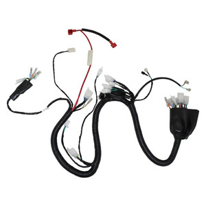 Arnes Electrico Vento Cyclone 200 (20-21) 12V