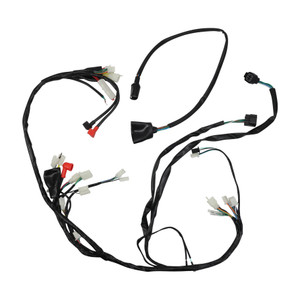 ARNES ELECTRICO ITALIKA ATV 200 (20-24)
