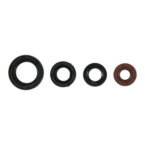 RETENES MOTOR SET BAJAJ PULSAR N 250 (21-26)