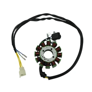 INDUCIDO 12 BOBINAS PARA VLXEVERUS300(25-26)3-24A MARCA RODA