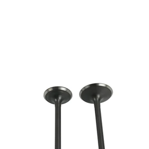 VALVULAS ADMISION/ ESCAPE SET PARA IT DM 300(25)MARCA WSTD
