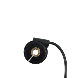 UNIDAD CUENTA KILOMETROS PARA FT 250 TS(16-25)12V MARCA RODA