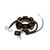 Inducido 8 Bobinas Yamaha Ybr 125 Zr (16-19) (Wstd) 3-24A