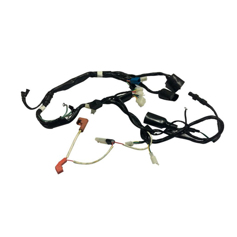 Arnes Electrico Italika 150 Z (14-19) 12V